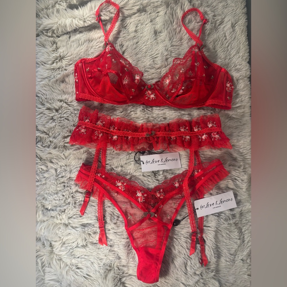 NWT For Love And Lemons Red & Pink Floral Lace Embroidered Bra Lingerie Full Set